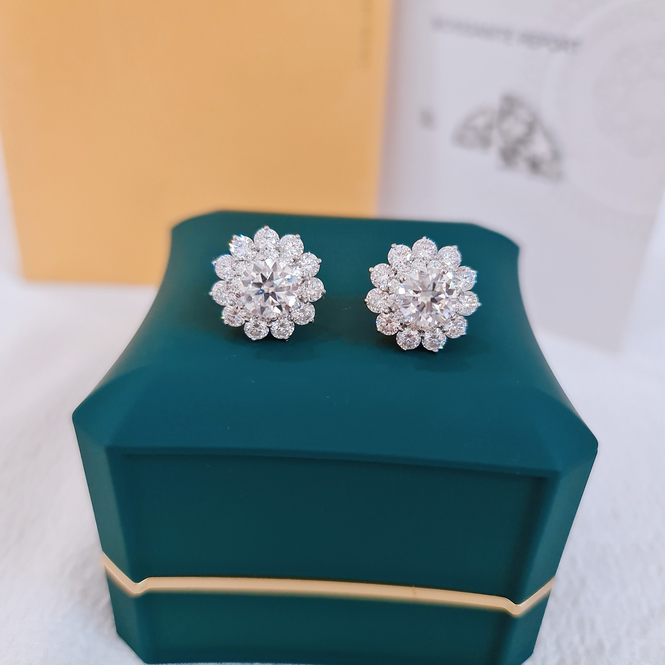 EJWE1070 Women's Earrings