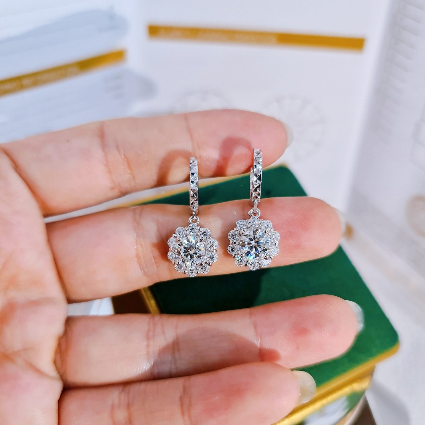 EJWE1227 Women's Earrings