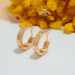 EJWE2110 Women's Earrings