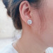 EJWE1003 Women's Earrings