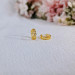 EJWE1054 Women's Earrings
