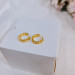 EJWE1054 Women's Earrings