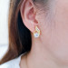 EJWE1069 Women's Earrings