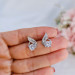 EJWE1069 Women's Earrings