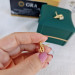 EJWE1069 Women's Earrings