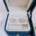 EJWE1070 Women's Earrings