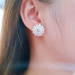 EJWE1070 Women's Earrings