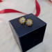 EJWE1192 Women's Earrings