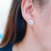 EJWE1246 Women's Earrings