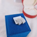 EJWE1277 Women's Earrings