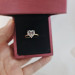 EJWR1056 Women's Ring